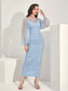 Claire Contrast Mesh Midi Dress