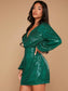Peta Lantern Sleeve Sequin Dress - Green