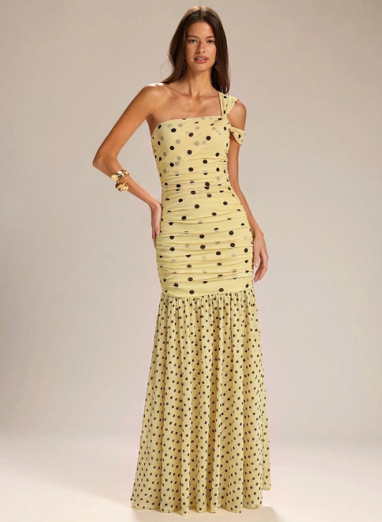 Rachel Polka Dot Maxi Dress